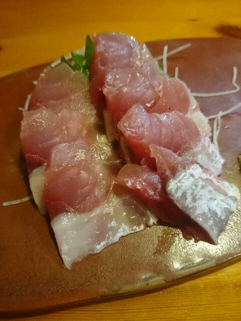 ハチビキの特徴 見分け方 写真から探せる魚図鑑