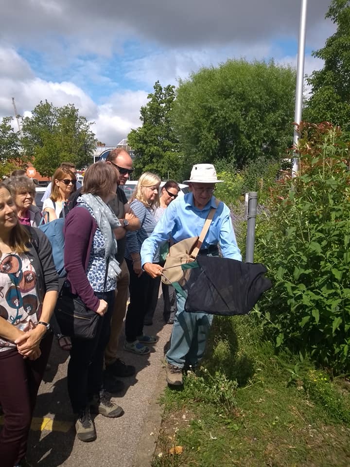 Thank you so much Fran Long and Frani Hoskins for helping yesterday during our bee walk. Thank you Diana Scott's daughter who kindly did our bee cupcakes. Your help was greatly appreciated. We all had a great time. Can't wait to redo it next year #Tonbridge