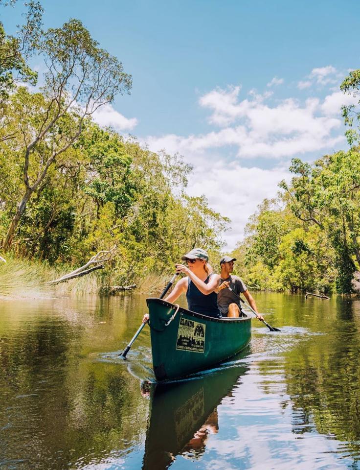 noosa's tweet photo. Adventure ahoy 👋 it’s time to get back to nature! 🌿 Inspire your inner explorer 🧭 and swipe 👉 to check out the glory on our backyard! 🥰👌 

(IG/PhotoBohemian exploring the #NoosaEverglades, #CooloolaSandPatch and  #CooloolaNationalPark) 🚣🏼‍♀️✨🏕
#VisitNoosa #RelaxationCapital https://t.co/X9XPXICnoV