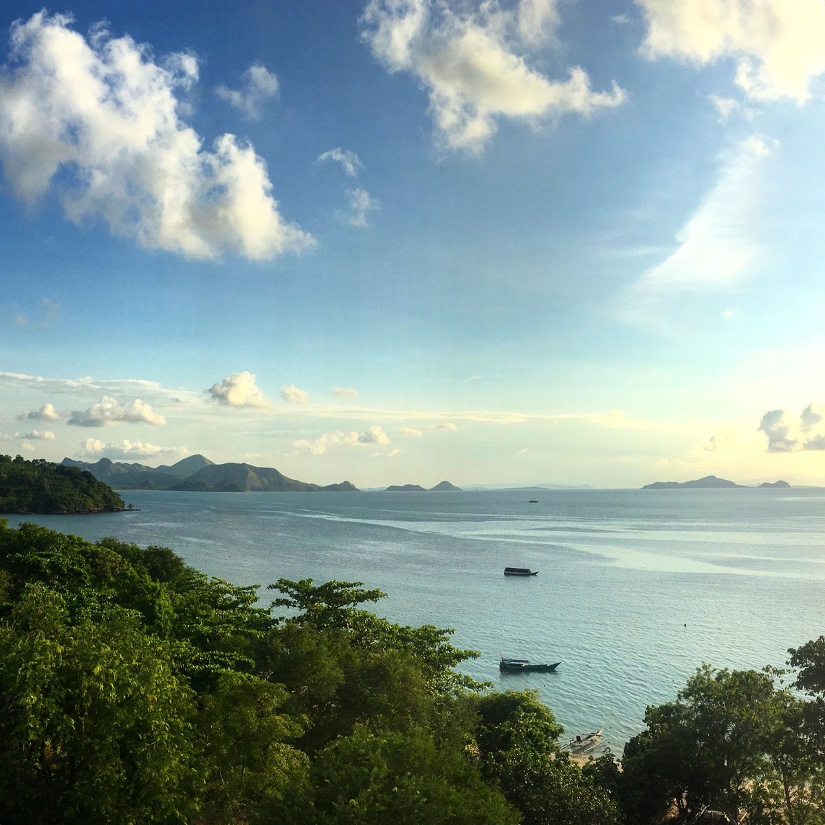 Paige Madison tweet media