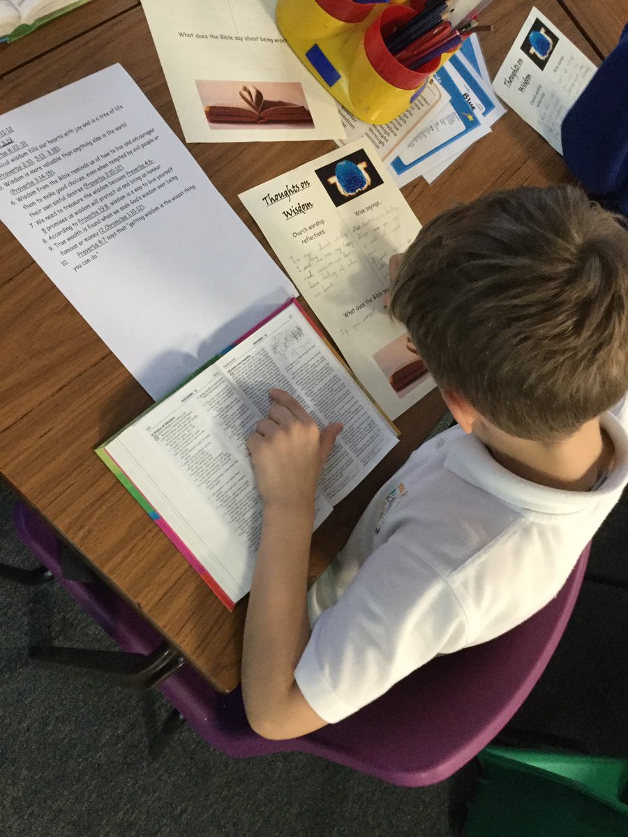 WhitegateBeech tweet media