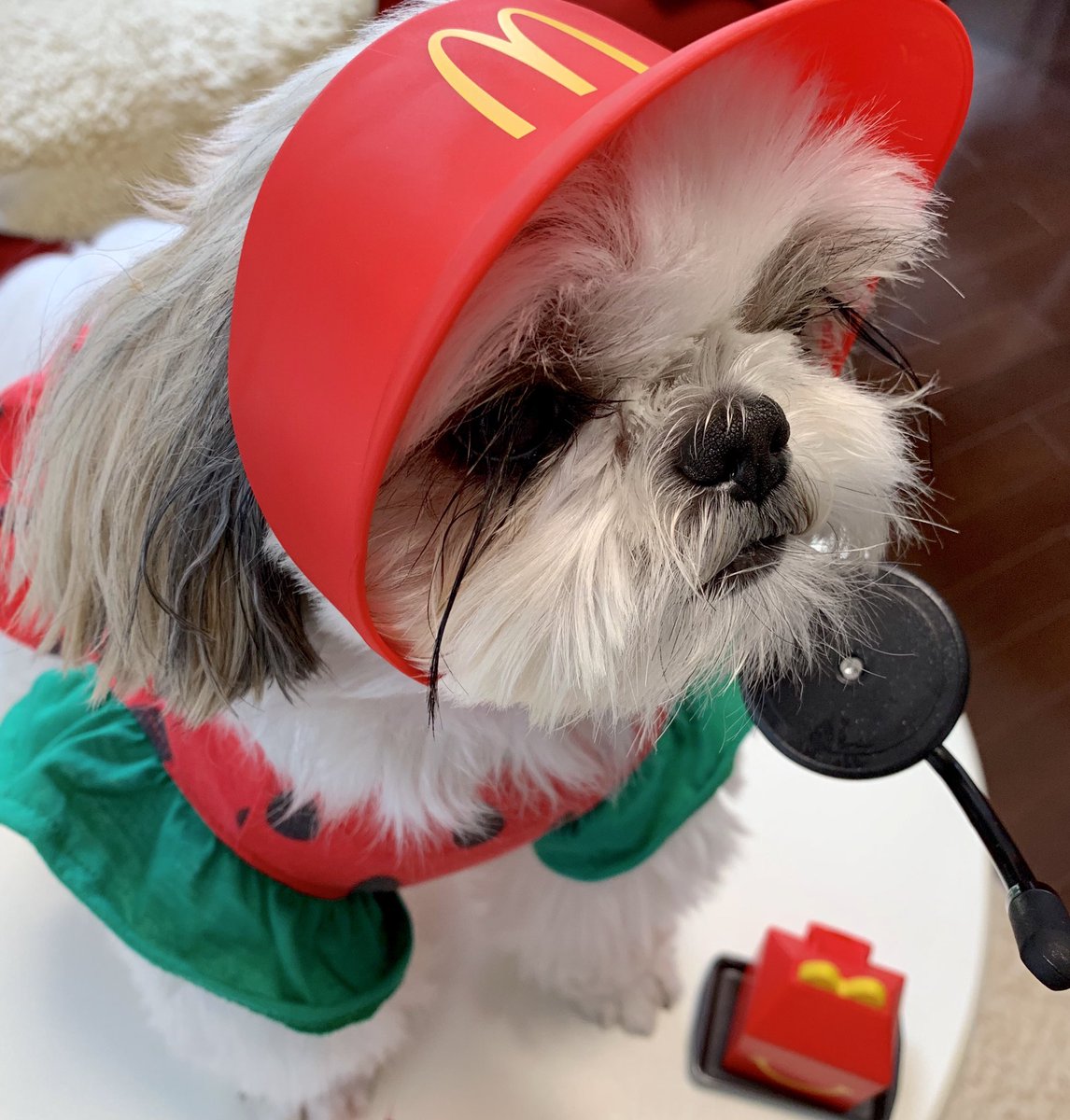 家族念願のマ ドのサンバイザーが当たりましたので パシャリ 働くのを凄く嫌がって 餅五郎のイラスト