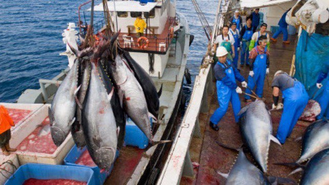 Manumit_87's tweet photo. The Pacific provides almost 60% of the world’s tuna catch in a growing industry, currently worth around $22 billion. Severe human rights abuse is endemic, including forced labor, slavery, human trafficking and child labor, and reports of migrant workers … https://t.co/3BMtAocDn4 https://t.co/4tGS4exnqs