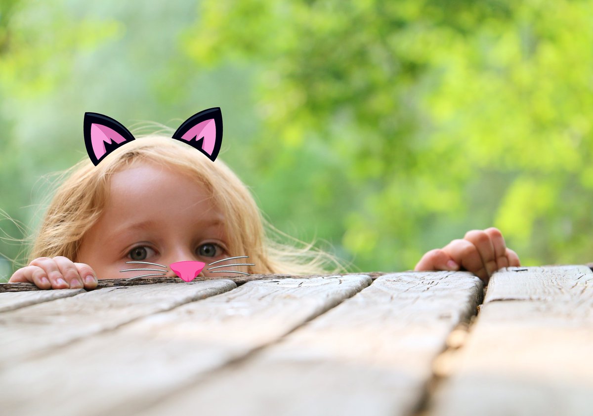 Hello friends 🌈💖 have a nice day. With love
instagram.com/p/Bz5zQFWoFFo/…
#kids #CuriousCat #Loveisalnd #playlistlive #Playing #outside #toffisfriends
