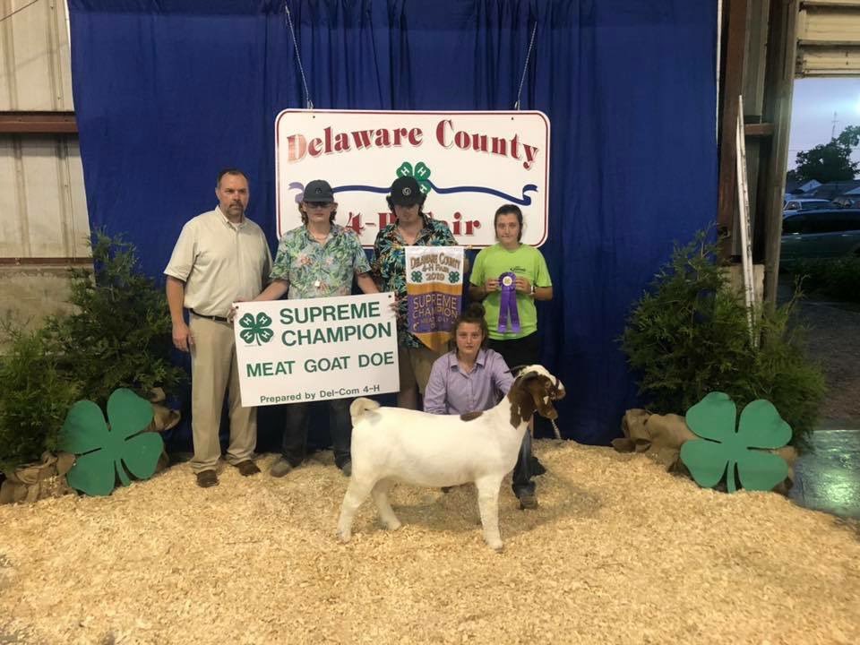 j_genetics's tweet photo. Congratulations to the Jester family!     Supreme Champion Meat Goat Doe at the 2019 Deleware County fair! https://t.co/dNLvlsftle