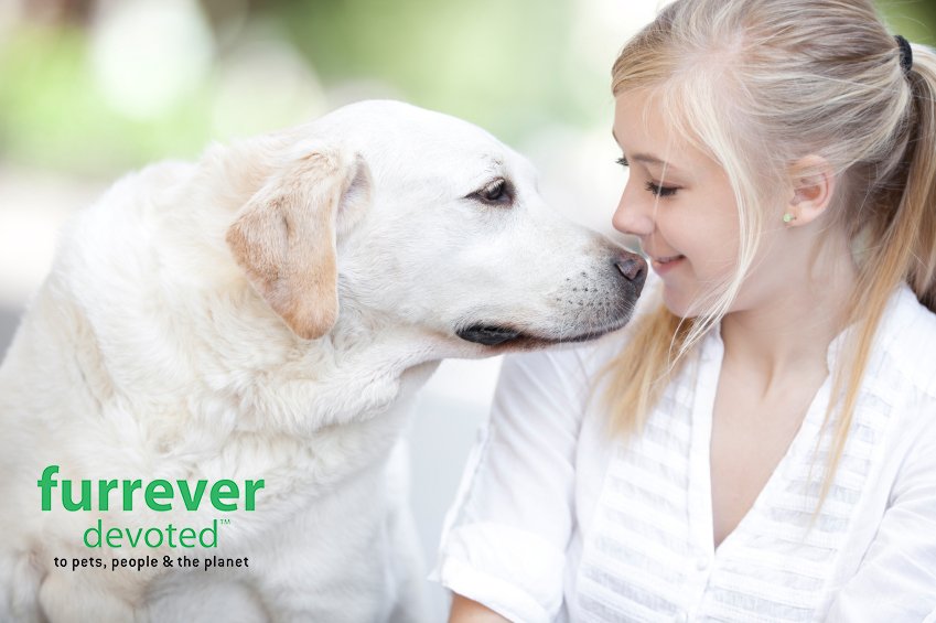 FurreverDevoted's tweet photo. We are FURREVER Devoted to giving them the best.

#furreverdevoted #dogshampoo #furreverfriends https://t.co/pxNVibtcH6