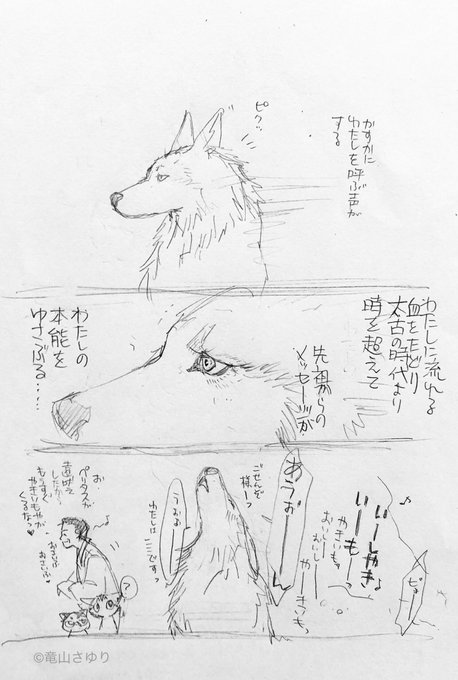 竜山さゆり Sayuritatsuyama さんのマンガ一覧 ツイコミ 仮 竜山さゆり Sayuritatsuyama さんのマンガ一覧 ツイコミ 仮