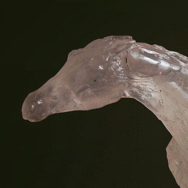 SRevennaugh1's tweet photo. GLASS &amp; STEEL || (1/2) another exciting collab with @sethfairweather ✨✨✨ #castglass #steel  #equinesculpture #horsesculpture  #equestrianstyle
.
.
.
.
#equestrianlife #equestrianart #equestrian #equestrianfashion #horse #horseart #equineart #cheval #… https://t.co/sScBSwnmfA https://t.co/DWHcmcFDgF