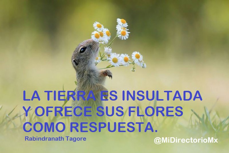 'La tierra es insultada y ofrece sus flores como respuesta'.  Rabindranath Tagore
Sigamos reflexionando de cómo podemos reconciliarnos con la naturaleza , la tierra nos sigue amando, es tiempo de mostrarle nuestra gratitud.
#FelizLunes  #Verano2019 #ReconcíliateConLaNaturaleza