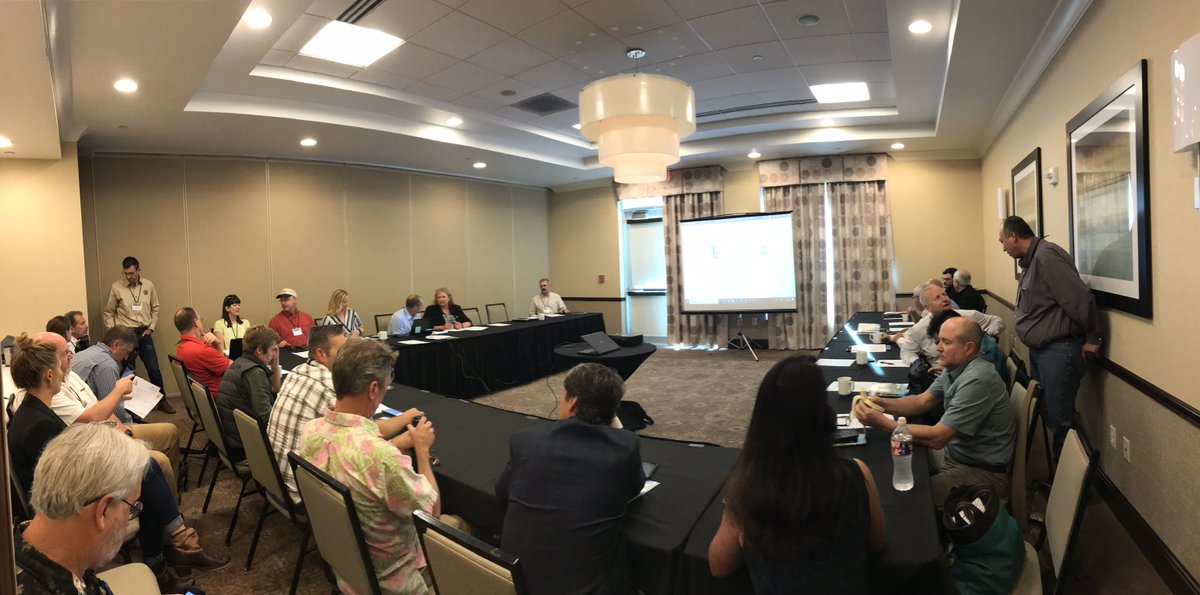 CSF_EllaryT's tweet photo. #WAFWA update: Learning tons and meeting plenty of wonderful people dedicated to the #conservation of #naturalresources. Thoroughly enjoyed the discussion during the Wild Sheep Working Group Meeting on current status and paths forward in #wildsheep conservation @WildSheepFNDN https://t.co/Vap2vp5o5z