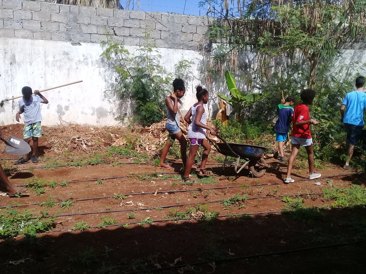 mslivramento's tweet photo. Saturday #BIBI girls &amp; boys worked together to prepare part of the Eugenio Tavares school garden for planting. #ZeroHunger #ZeroAnemina is possible. #NutritionEducation &amp; Access to #HealthyFood at #schools has to be part of the strategy
@WashFellowship @USEmbassyPraia
#Agenda2030 https://t.co/bnD3BiEmhd