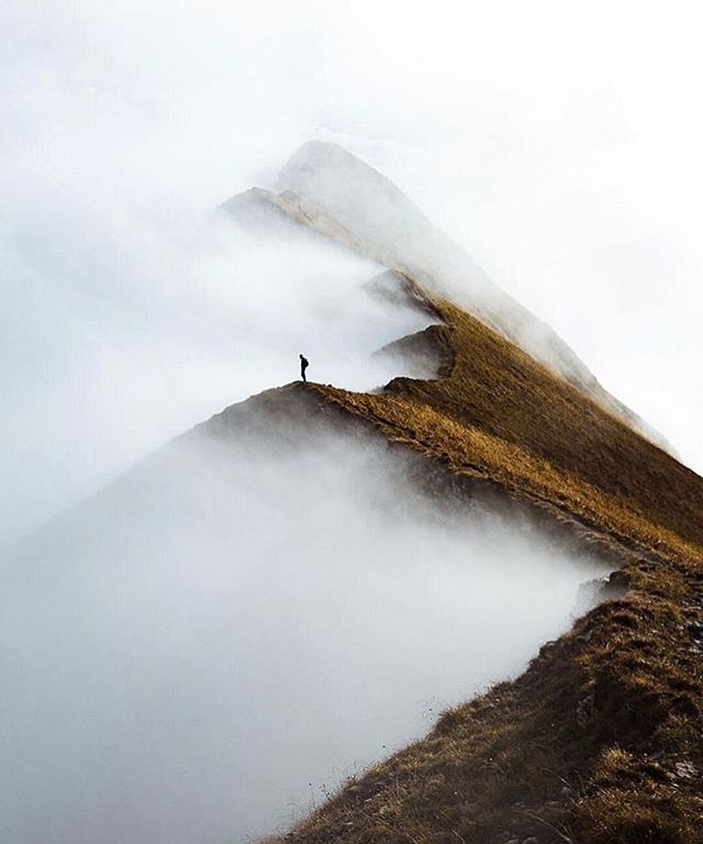 Love #nature always! .
.
.
.
.
#inspo #adventure #wanderlust #journey #hiking #summer #nature #naturalist #mnml #minimal #philadelphia