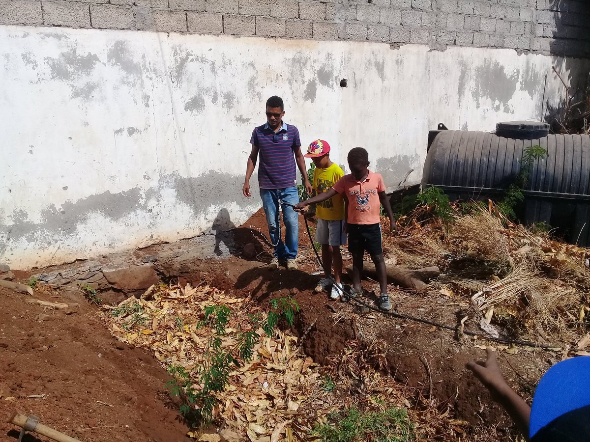 mslivramento's tweet photo. Almost 1 in 2 children in #CaboVerde has anemia. Through #SchoolGardens #BIBI Champions in #EugenioTavares want to change this scenario &amp; ensure that all their colleagues have access to #NutritionEducation and #HealthyFood at #school
@WashFellowship 
@USEmbassyPraia 
#ZeroHunger https://t.co/LhKyW0oAnh