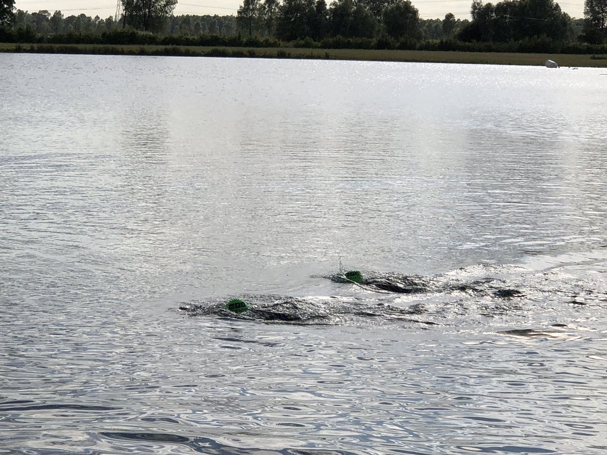 Chappers2013's tweet photo. Time for #TeamBaloo swimming training #TriFarm #Boreham @vickilonglegs @PBaloo @ERPDF https://t.co/gfrB3sDlyL