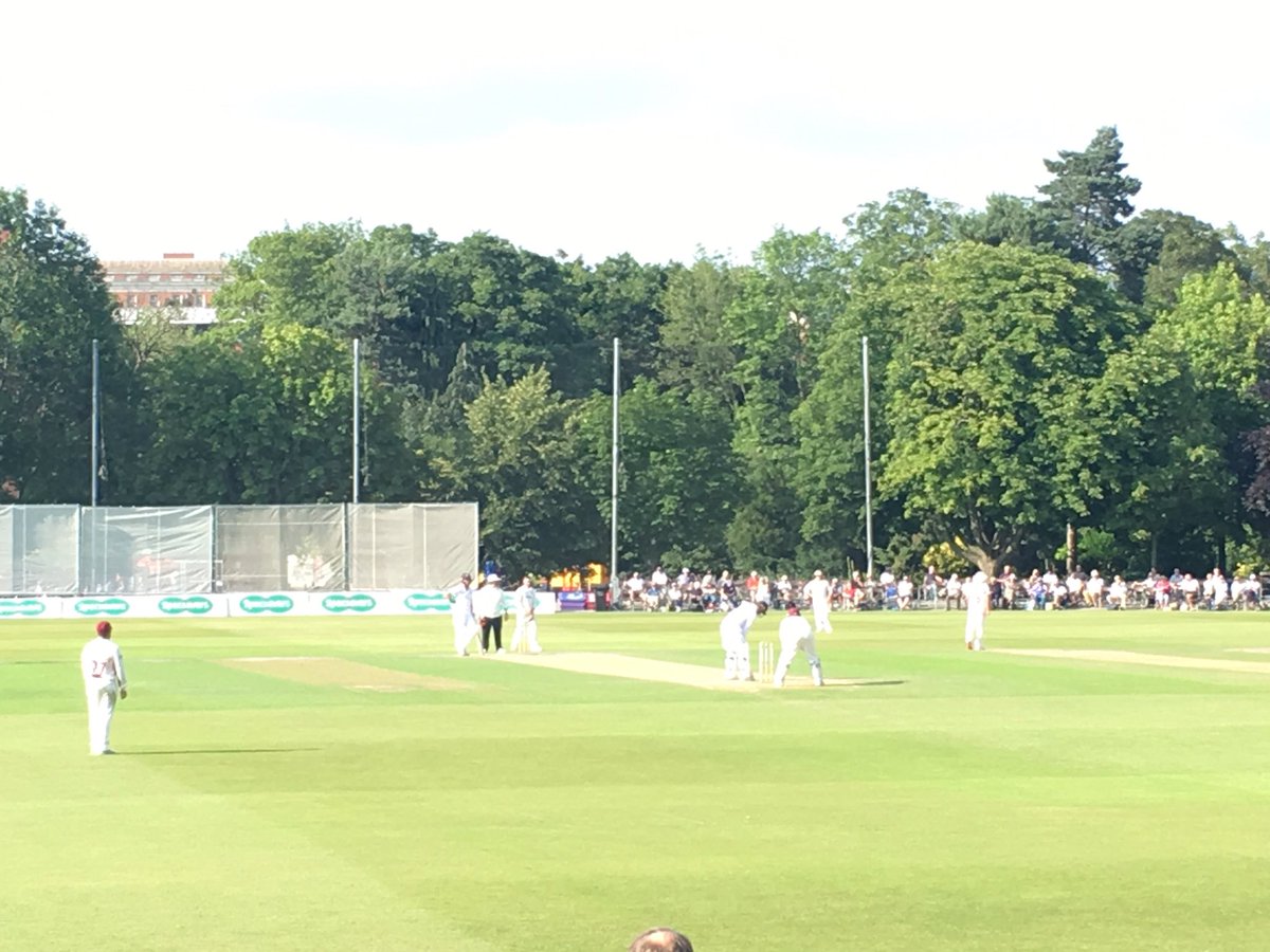 Steve Taylor tweet media