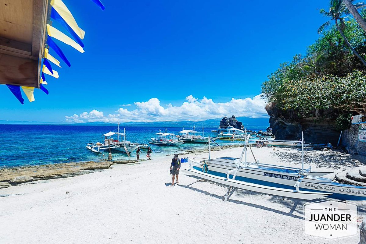 EarthLandLife's tweet photo. Apo Island 🐢🌄🏖
📷 by The Juander Woman https://t.co/b8sE7O5zwq