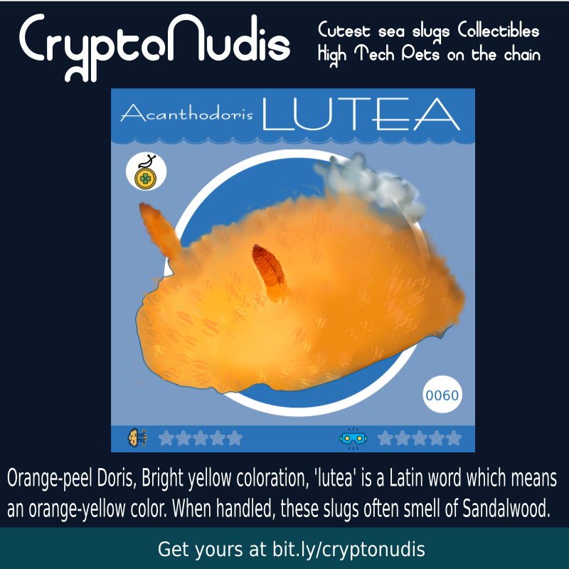 Orange-peel Doris - Bright yellow coloration, 'lutea' is a Latin word which means an orange-yellow color. When handled, these slugs often smell of Sandalwood.

check it out at : opensea.io/assets/0x48718…