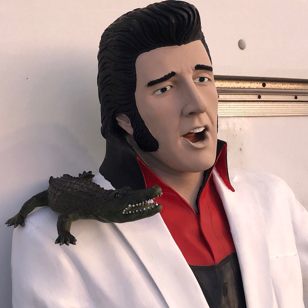 wolffsflea's tweet photo. Look who we found at #wolffsfleamarket #chancethesnapper #fleamarket #HumboldtGator @wolffsflea https://t.co/Brv7OQOoFT