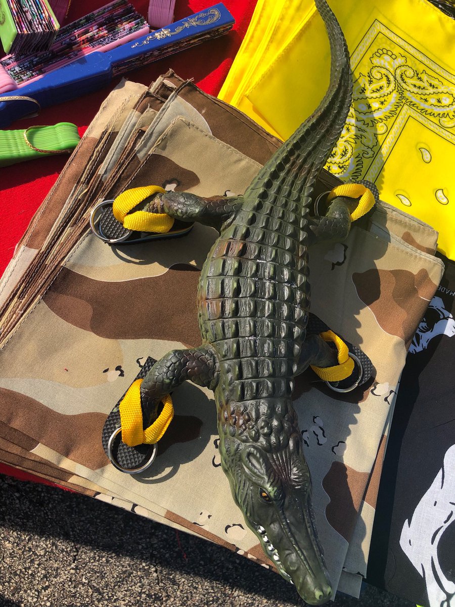 wolffsflea's tweet photo. Look who we found at #wolffsfleamarket #chancethesnapper #fleamarket #HumboldtGator @wolffsflea https://t.co/Brv7OQOoFT