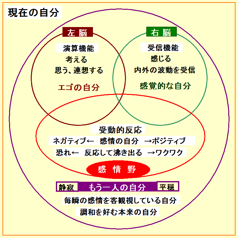 吉澤準特 ロジカルシンキング 図解 ルサンチマンを克服するには 自分のマイナスを既定条件と捉えて その条件のもとでどんな悦びを汲み取ることができるのか 本気で考えること 正しい悦びなんてものはないので 自分が求める悦びがどんなものなのかを