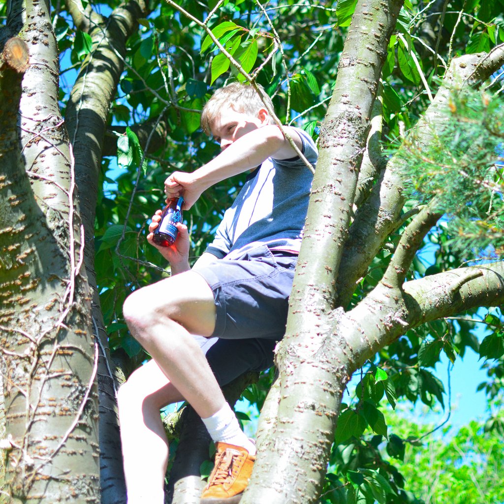 Artemis Ready-to-Drink Cold Brew Coffee - for the adventurer in you.