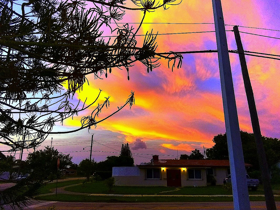 JorgeGNYCMIA's tweet photo. #Miami #Sky #Sunset #Pinetree #photo #photodaily #photooftheday #photograph #photography #photooftheweek #photosession #photoshot #skyphotography #sunrays #sunflares #lensflare #SunsetOneEvening #riseandshine https://t.co/8e4kMViqSZ