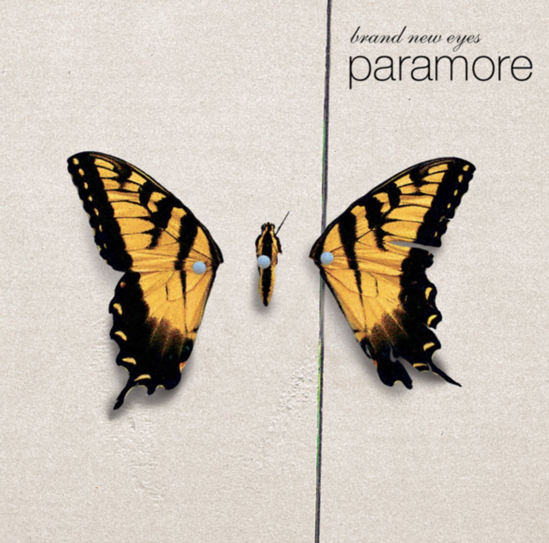 𝐊𝐚𝐢𝐭 𝐑𝐨𝐦𝐚𝐧𝐨𝐟𝐟 💛 tweet media