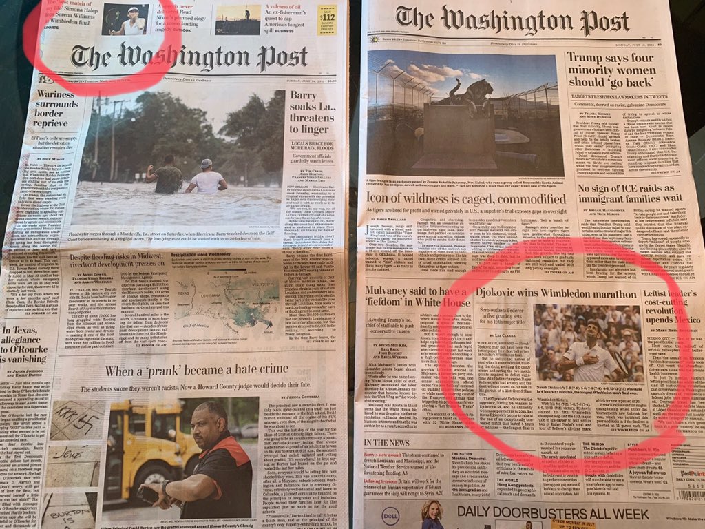 Alison August Treppel tweet media