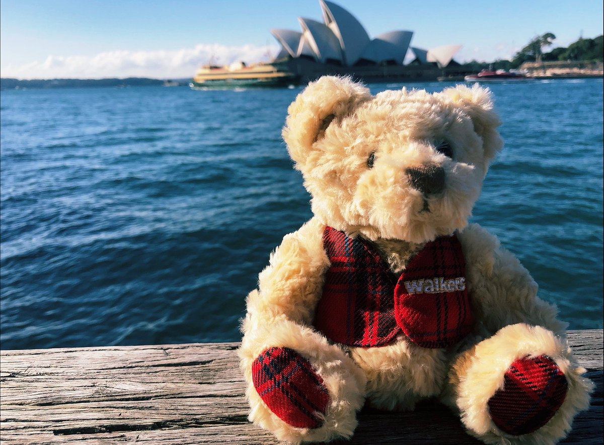 Shortbread's tweet photo. G'day mate! ๐ฆ๐บ
#WalkerBear has made it to the other side of the world, chilling by the Sydney Opera House.
We are so proud to say we have been available in Australia since the late 70's!
#Sydney #bakedinScotland https://t.co/S2P6eKbs1F