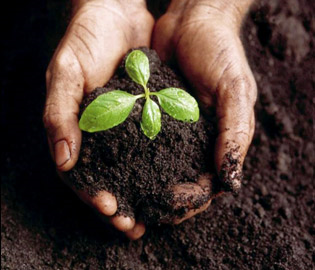 MarionSWCD's tweet photo. Is Soil health Important?
https://t.co/hodYabbR6U https://t.co/3jEAl6S75V