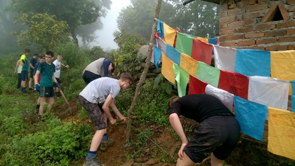 Alan Holmes tweet media