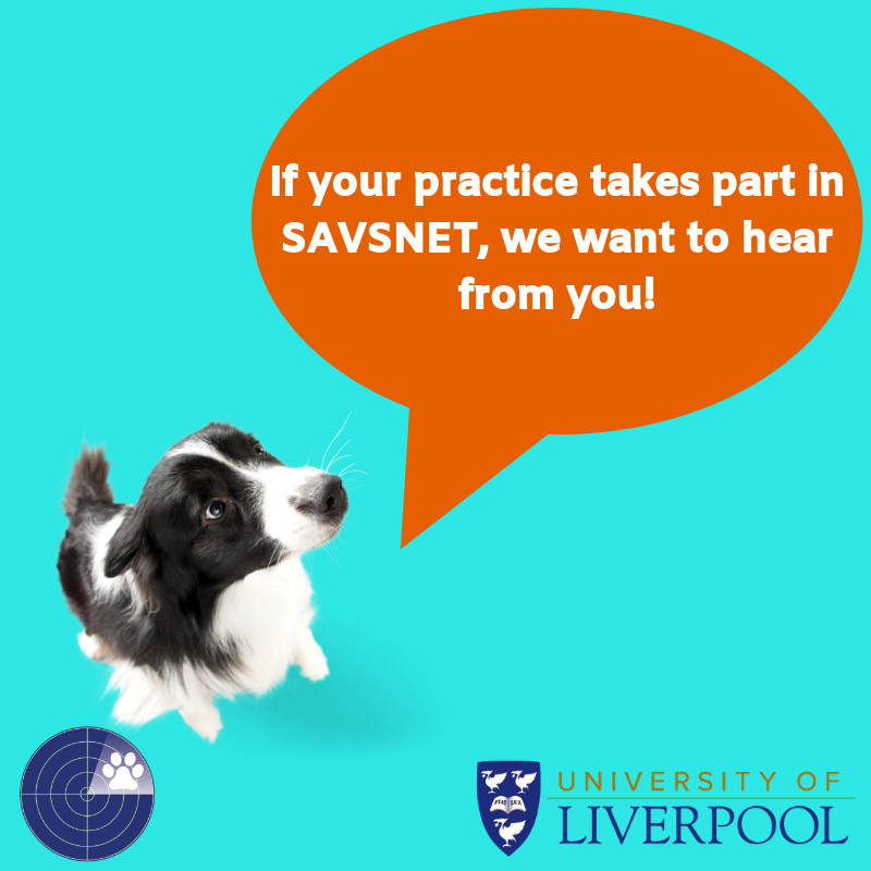 SAVSNET survey open to all participating practices - check emails, SAVSNET window+portal for link. Working to understand wider impact through ⬆️ understanding of how vets perceive it+how it might have helped change procedures. Thanks to everyone who has completed it so far! ⭐️