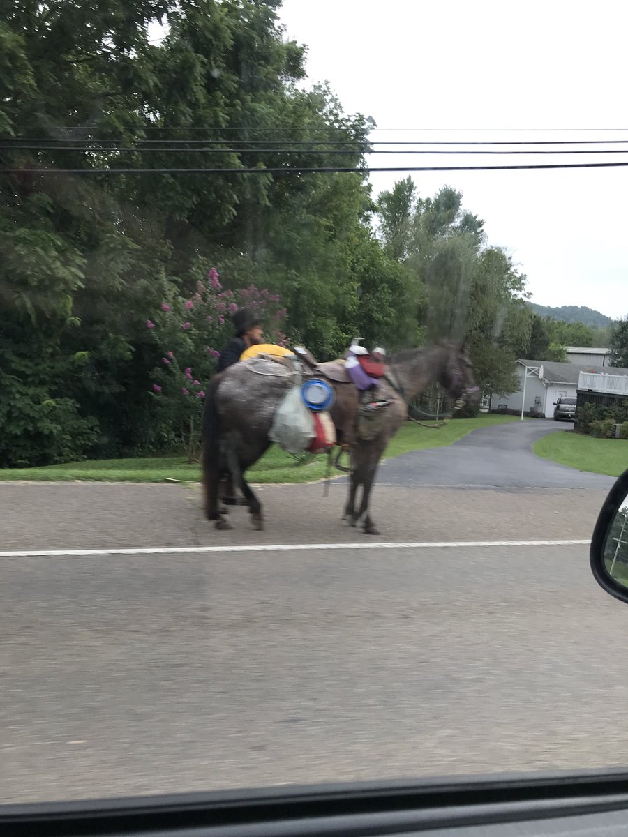 kacytiller's tweet photo. Guys, I thought I was hallucinating this morning from the lack of coffee, but I saw Abraham Lincoln riding on a horse on my way to @Starbucks before work this morning. I’ve attached proof that I’m not crazy. 😂🤣😅🤷‍♀️ #wtf #random #funny #weirdmorning #abrahamlincoln https://t.co/NgObpXFi3K