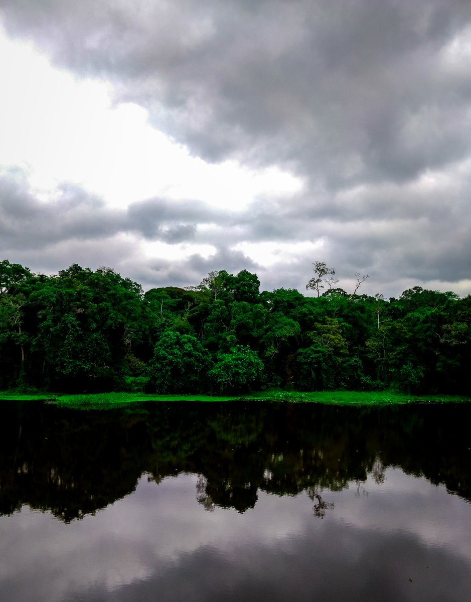 chi_ernest's tweet photo. 📍 Site Touristique d'Ebogo

Located at about 65 km from Yaounde, it is an ideal place to commune with nature. From forest hiking to sailing on the river and visiting the mighty Kossipo tree which is more than 1000 years old, you can't get bored!
#ETCPixs https://t.co/vrywXB0qgp