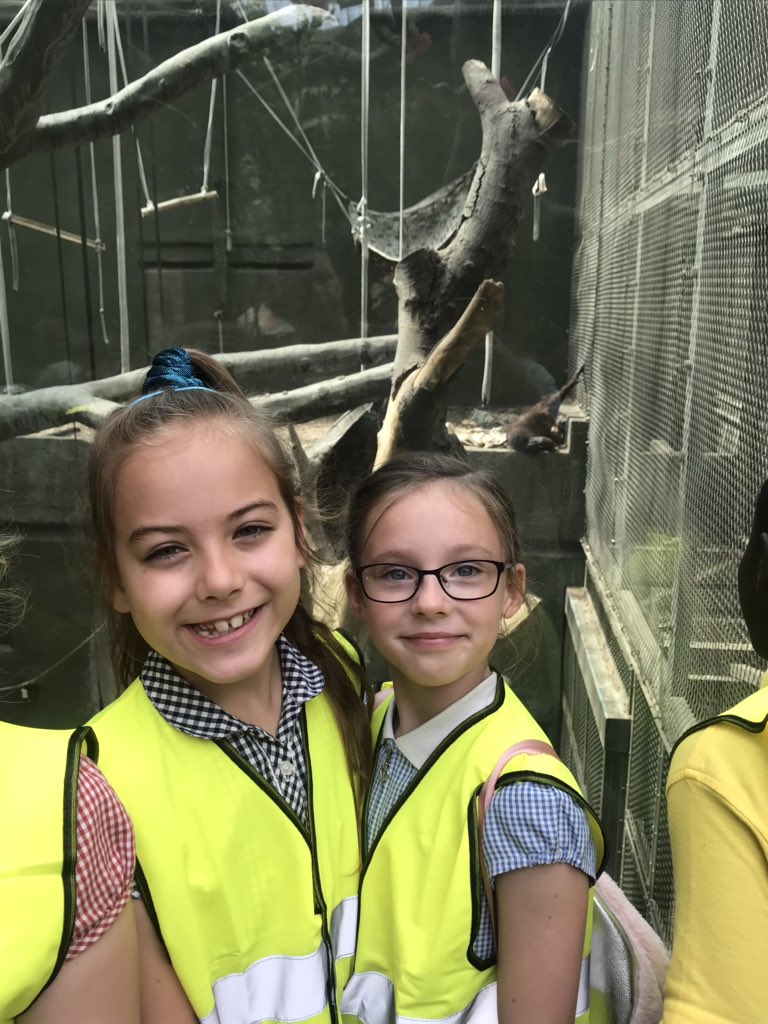 ButtonLane_'s tweet image. We have had such a fun day at Chester Zoo #learnatCZ #3kb