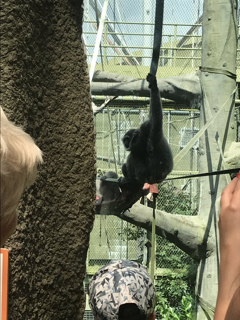 ButtonLane_'s tweet image. We have had such a fun day at Chester Zoo #learnatCZ #3kb