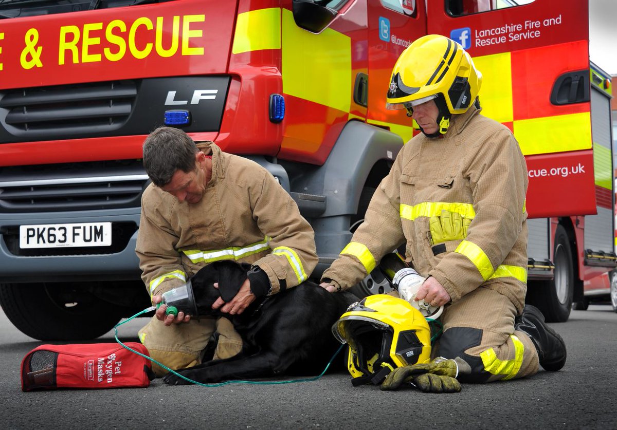 Lancashire Fire & Rescue Service (@lancashirefrs) on Twitter photo It's Pet Fire Safety day and today we're grateful for the pet oxygen therapy masks that have been donated to our fire engines from <a href="/helpsmokeypaws/">Smokey Paws</a>. These help pets and animals who are rescued from fires or road traffic collisions. #PawsForBreath It's Pet Fire Safety day and today we're grateful for the pet oxygen therapy masks that have been donated to our fire engines from <a href="/helpsmokeypaws/">Smokey Paws</a>. These help pets and animals who are rescued from fires or road traffic collisions. #PawsForBreath