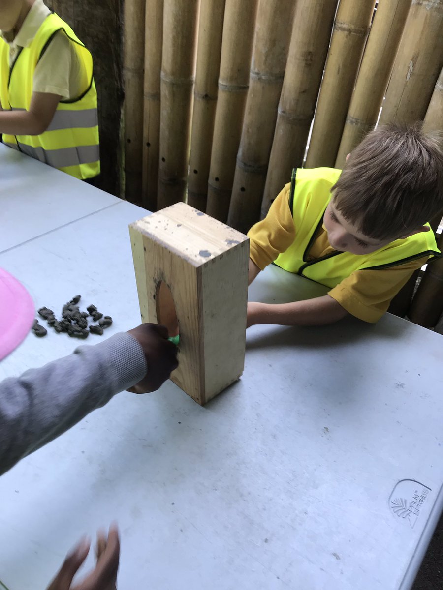 ButtonLane_'s tweet image. We have had a lovely day at Chester Zoo #3kb #learnatCZ