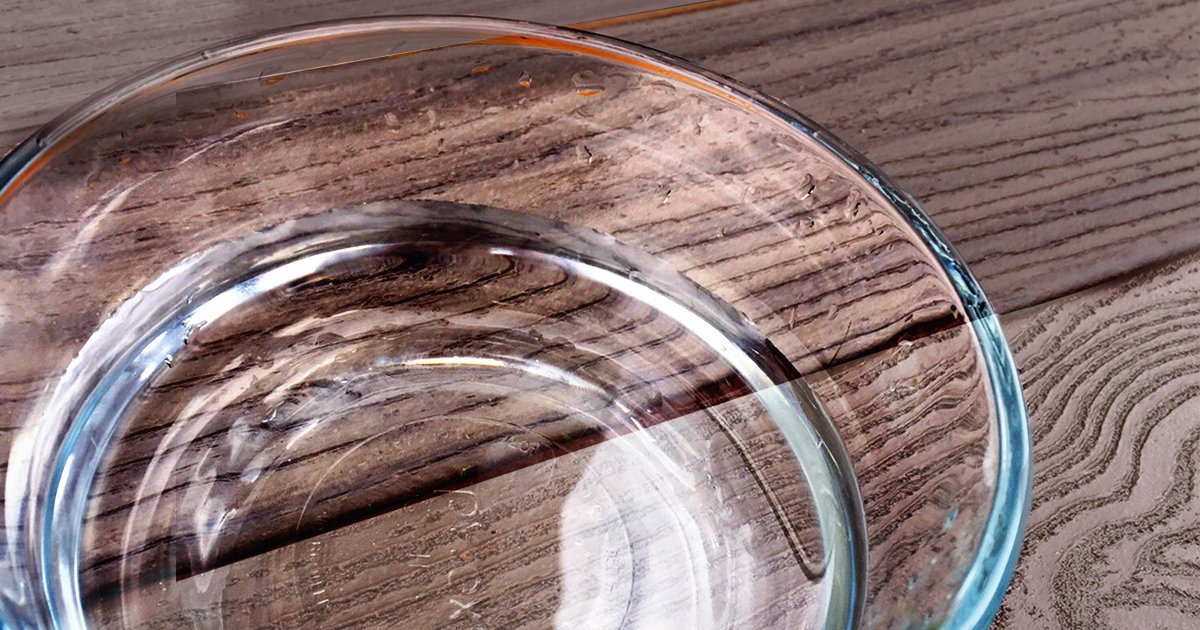 ServproSGville's tweet photo. Want to keep your four-legged friend hydrated this summer? Opt for using a plastic water bowl on your porch instead of glass. The sun's rays can filter through the glass and ignite the wood beneath it.
#NationalPetFireSafetyDay #SERVPROTips #HereToHelp https://t.co/v3YmrnsUiE