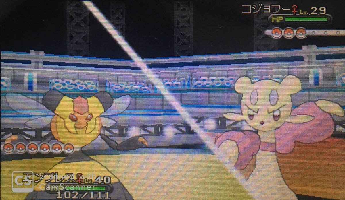 霧島明 推し狂人 罪鍋ポケモン旅xy編 1匹目はコジョフー コジョフーはかくとうタイプのポケモンです エンプレスのつばめがえしで沈めていきましょう 霧島明 推し狂人 罪鍋ポケモン旅xy編 1匹目はコジョフー コジョフーはかくとうタイプのポケモンです エンプレスのつばめがえしで沈めていきましょう