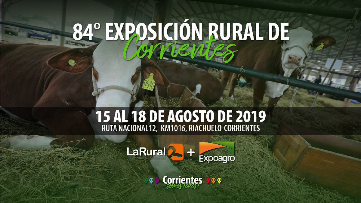 CorrientesGob's tweet photo. Nos estamos preparando para la Exposición Rural de Corrientes, del 15 al 18 de agosto. 🐮
¿Te vas a perder? https://t.co/gRdh5ac3rT