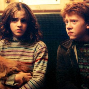 bestpotterpics tweet picture