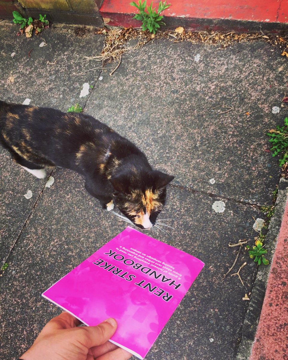 combabeclem's tweet photo. Lovely lovely #RentStrikeWeekender photos βΊοΈβΊοΈβΊοΈ https://t.co/voh3JXuRiB