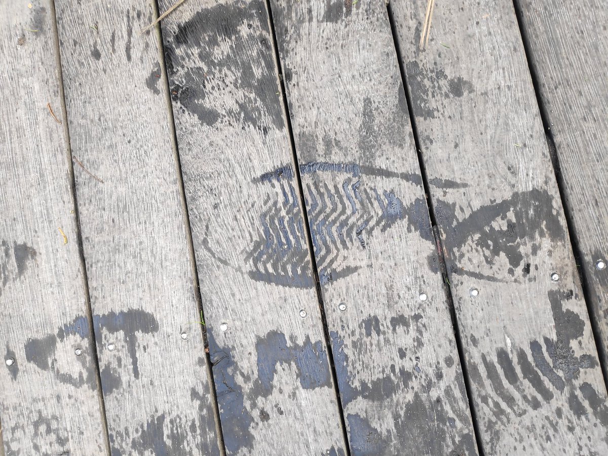 hktans's tweet photo. Mindful walking @WoodleighSchoo1 . Taking time to notice and appreciate nature and our outdoor environment. #iben #mpyph #pypchat @jodie_kirch https://t.co/PyayzynEKX