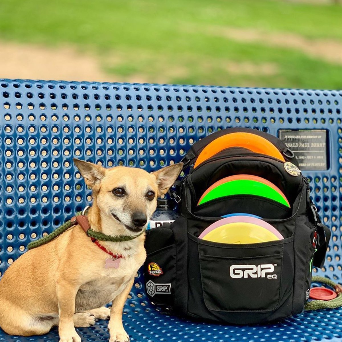 dog disc golf bag
