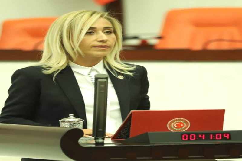 "Turizmi geliştirmek yerine turizmcinin gelirinden pay istiyorlar"
manavgatinsesi.com/haber-10161-tu…