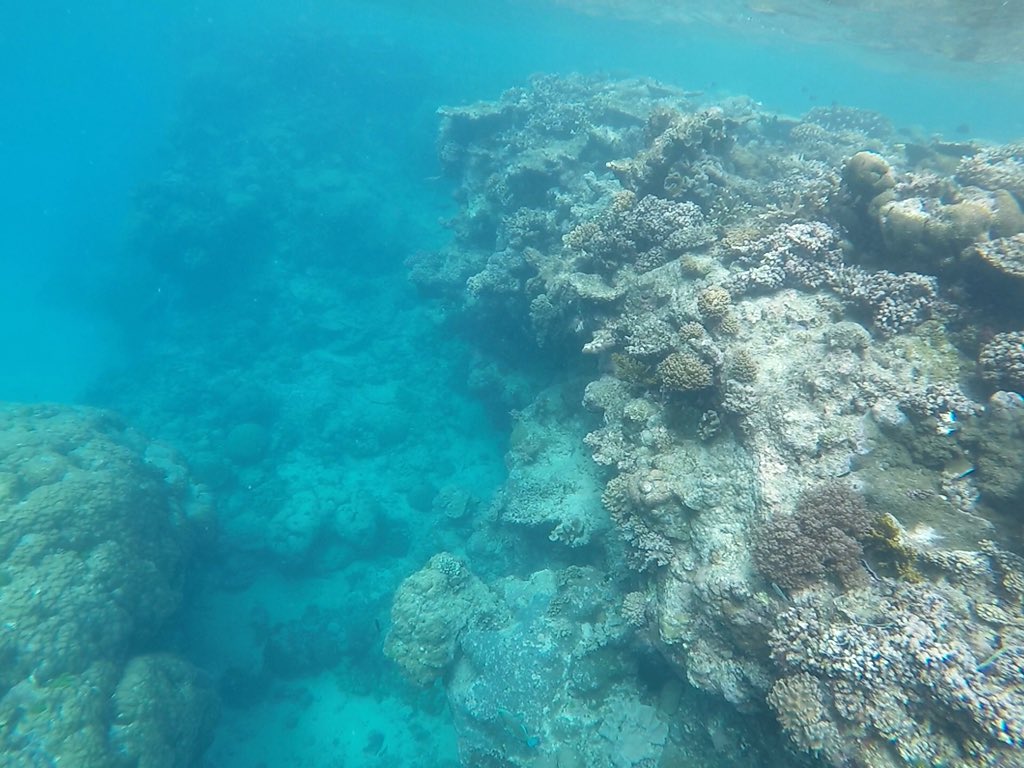Latta07's tweet photo. just have to say that i’m constantly at awe of the natural beauty of this country. whether it’s on the coast, under the sea, in the desert, or within the forests, the scenes and serenity never cease to amaze me. i’m so blessed to be here 🇦🇺💙 australia has my whole heart https://t.co/c2mwdq7bkc