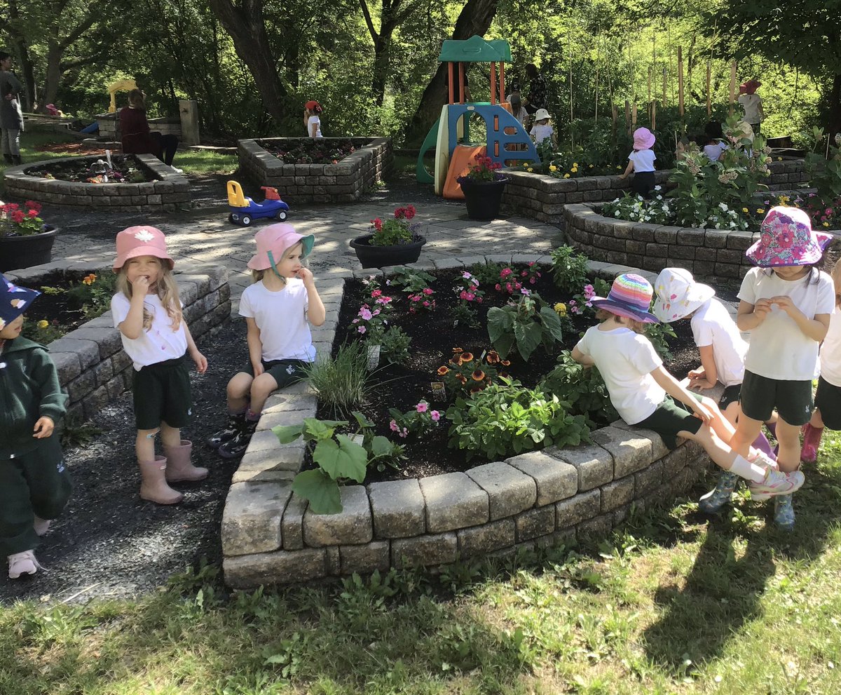 BHbeginnings's tweet photo. Exploring the garden continues as there are daily changes.  They found chives, parsley and mint to sample @balmoralhall https://t.co/erONa9oe9f