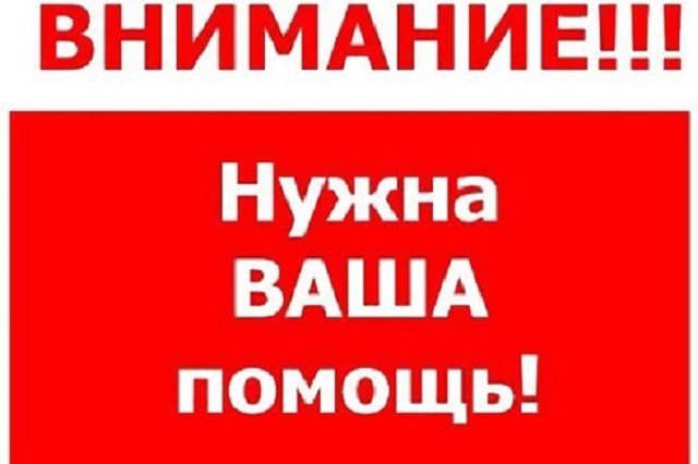 Днем, картинки с надписью о помощи