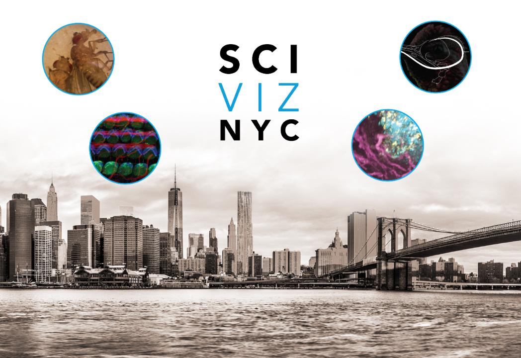 Open call for proposals for this year's <a href="/SciVizNYC/">SciVizNYC</a>! Submit your talk by July 31st: bit.ly/2xPJLNi